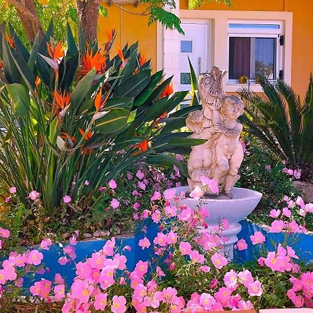 Iris Apartment Near Corfu Town Kontokali Buitenkant foto